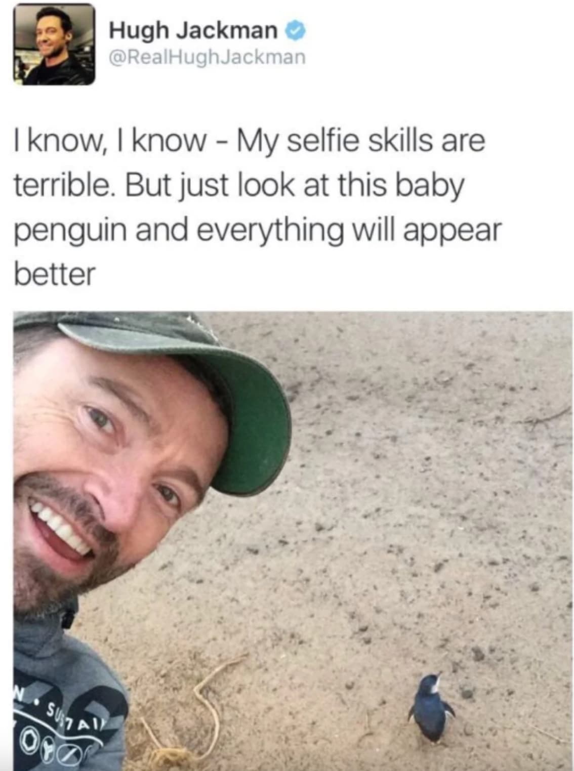 hugh jackman penguin - Hugh Jackman Jackman I know, I know My selfie skills are terrible. But just look at this baby penguin and everything will appear better Sustai